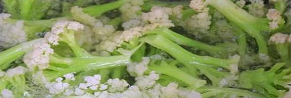 焯煮、油炸設(shè)備